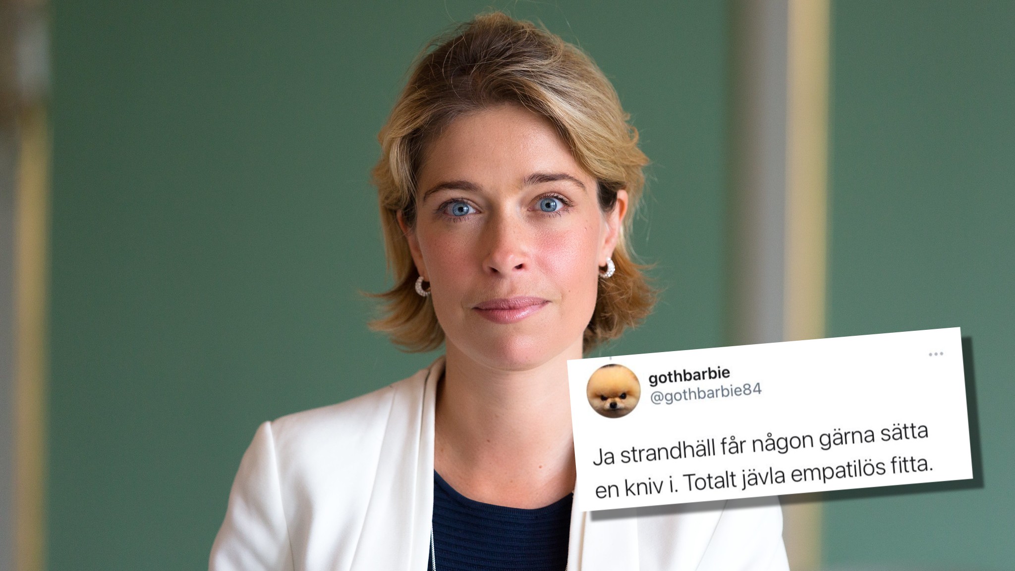 Nationell högerpedofil uppmanar till mord på Annika Strandhäll