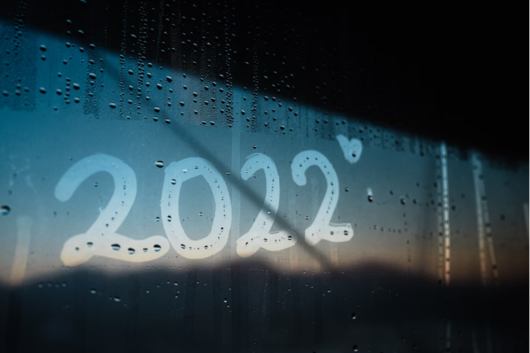 Hur ser utvecklingen av företag ut för år 2022?