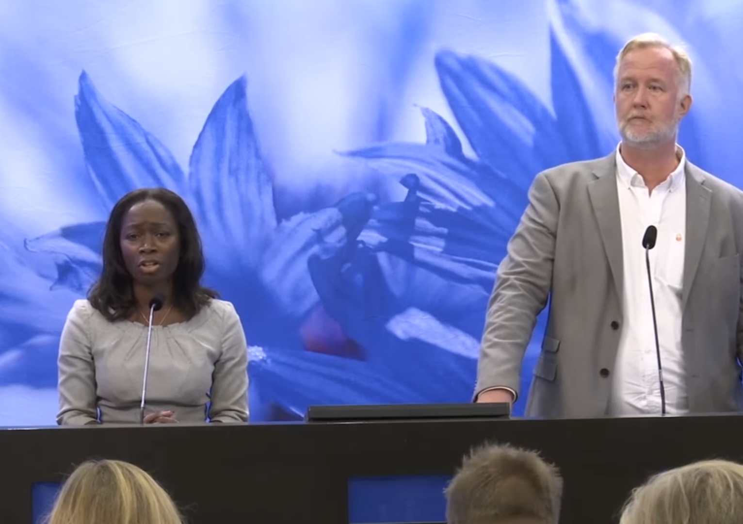 Liberalernas vallöfte: Sänkta löner