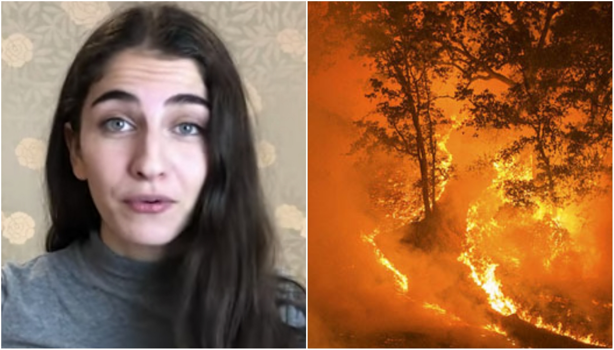 Nu öppnar Romina Pourmokhtari för att skrota klimatmålet