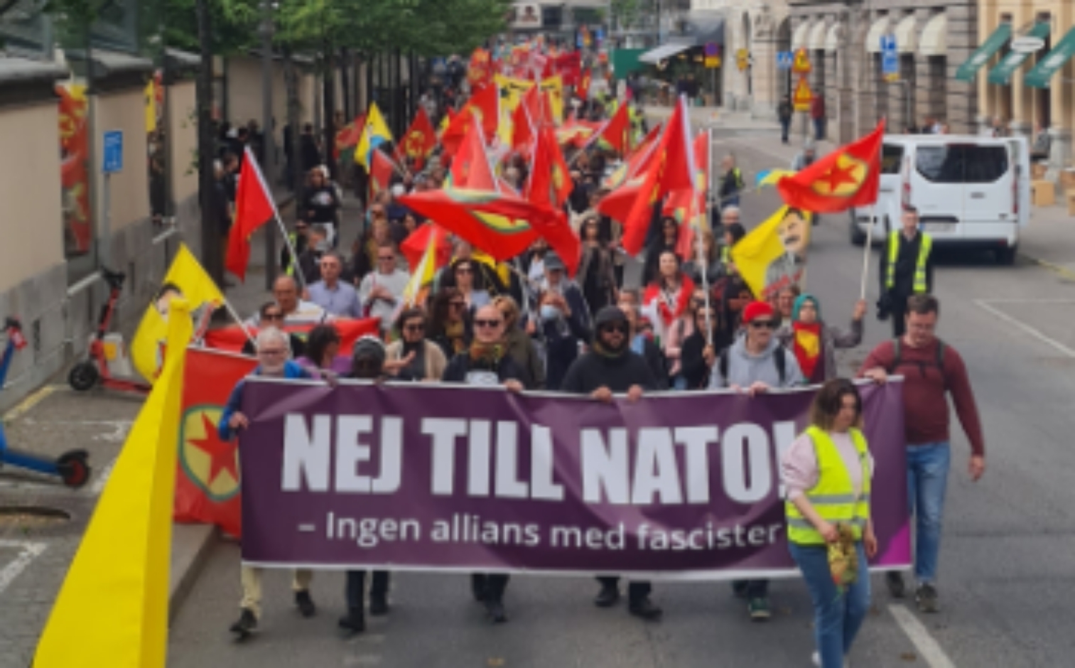 ”Jag demonstrerar för Sveriges demokrati”